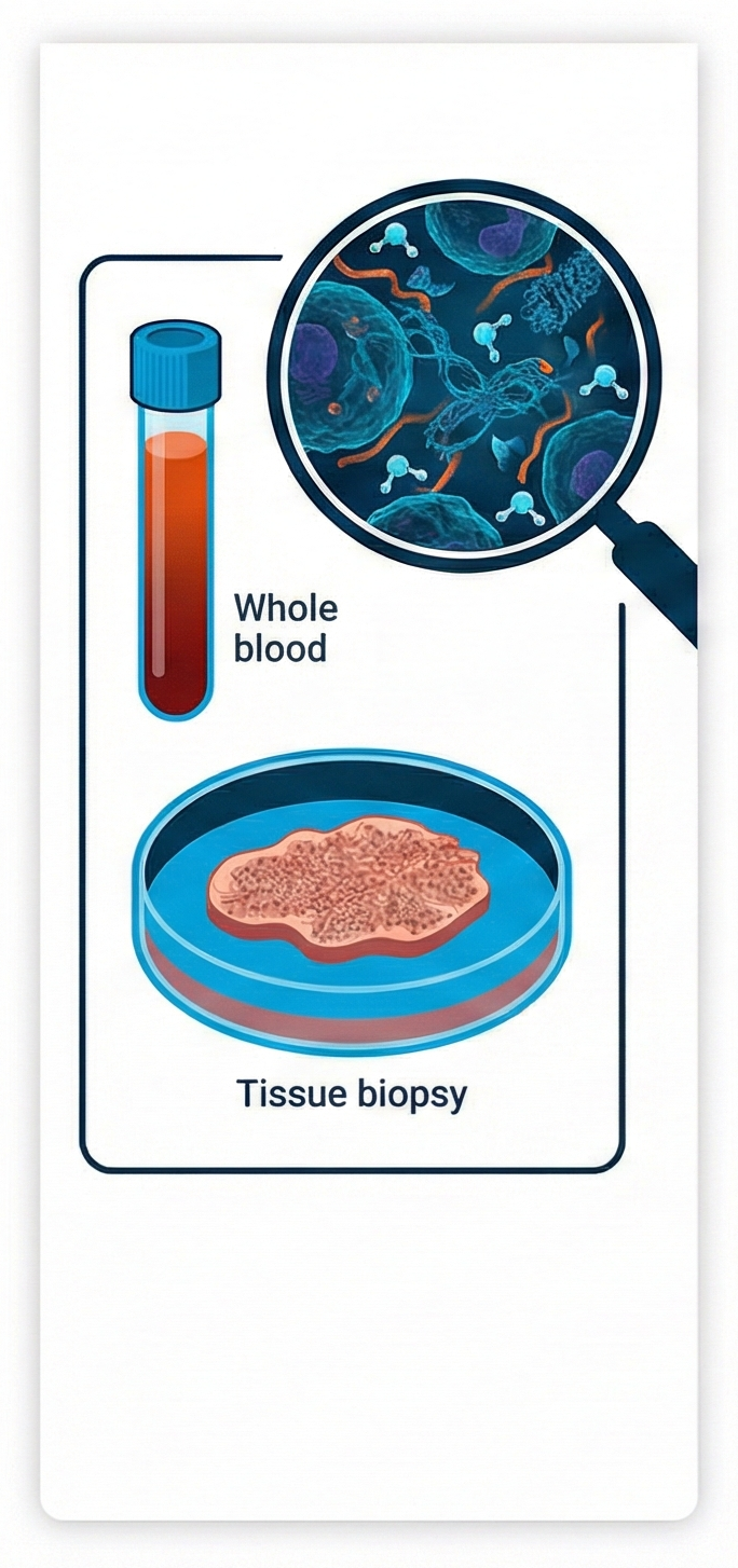 The Native Input — Physiological State