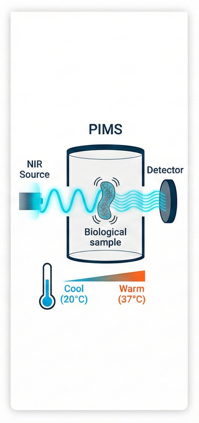 Physiological Modulation — NIR Spectroscopy + Thermal Stress